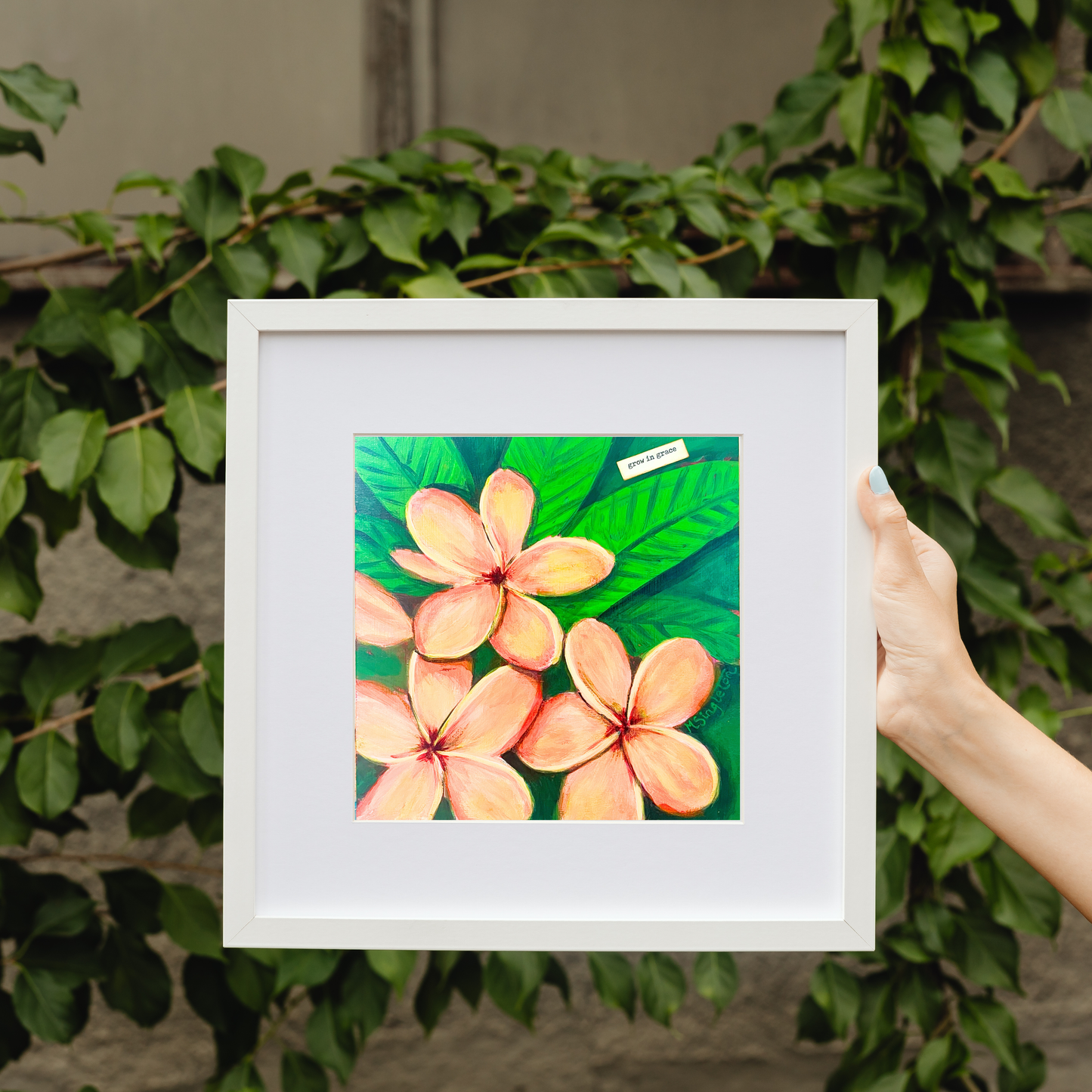 Plumeria Art Print