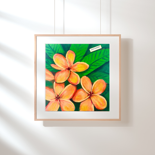 Plumeria Art Print