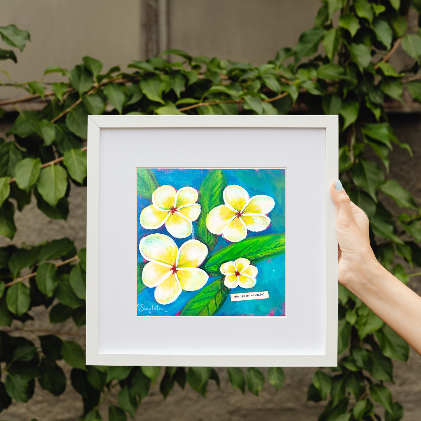 Plumeria Art Print